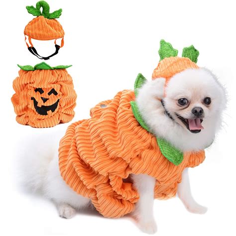 dog pumpkin hat|pumpkin costume for puppy.